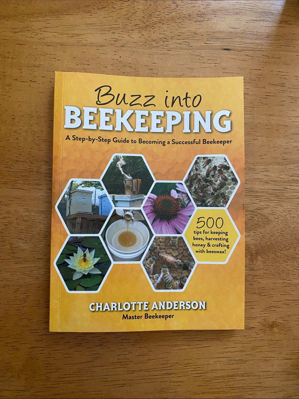Buzz into Beekeeping by Charlotte Anderson - paperback